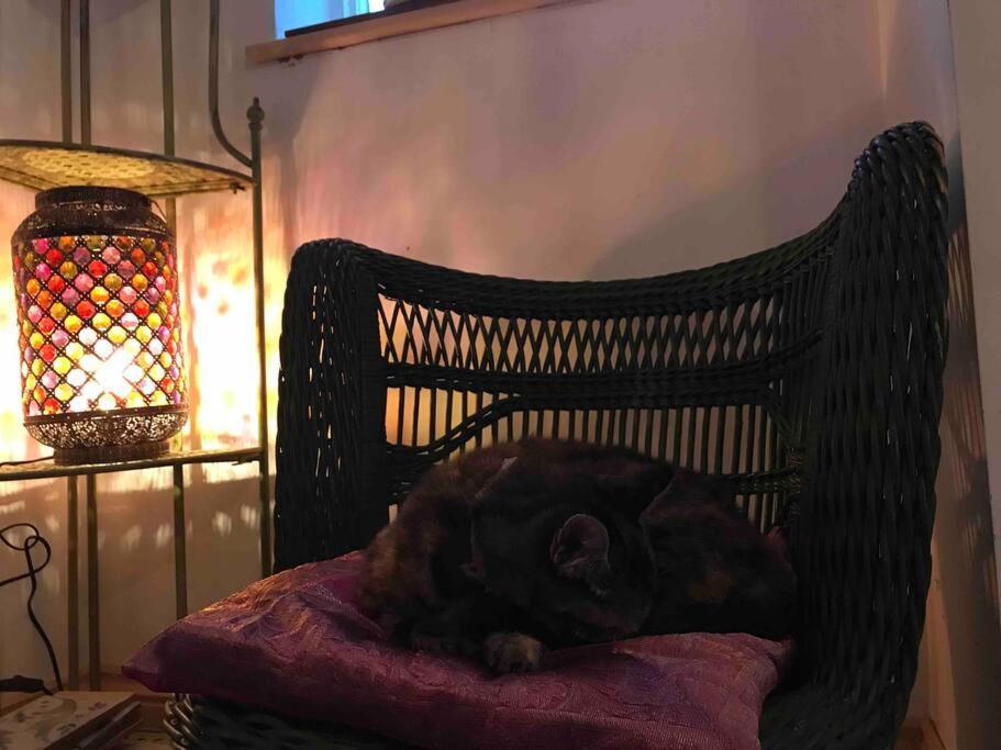 Priory Meadow Cottage Long Bennington Extérieur photo